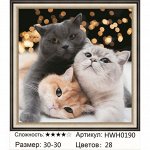 Алмазная мозаика круглые стразы 30х30 на подрамнике / Алмазная живопись