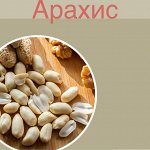 Арахис