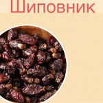 Шиповник