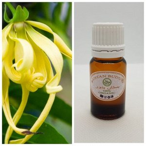 70 100% эфирное масло Иланг-Иланг Cananga odorata, 10 мл