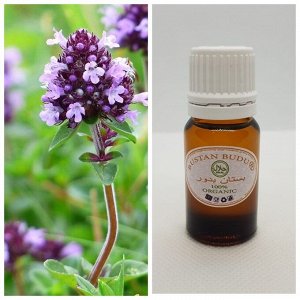 72 Эфирное масло Тимьян (чабрец) Thymus, 10 мл