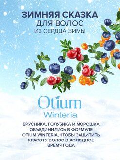 Набор OTIUM WINTERIA 4