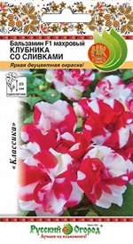 Цветы Бальзамин махровый Клубника со сливками F1 (6шт)