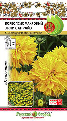 Цветы Кореопсис Эрли Санрайз махровый (40шт)