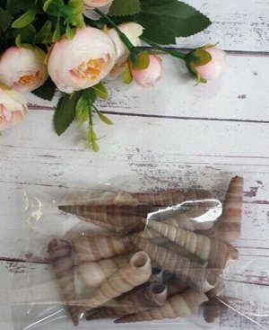 Ракушки Turritella terebra, серые, 4,5-6см, н-р 95гр