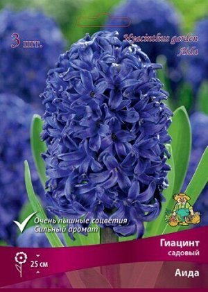 Гиацинт Аида 14/15 3шт (Поиск)