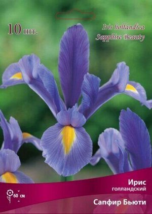 Ирис Сапфир Бьюти (Голландский) 7/8 10шт (Поиск)