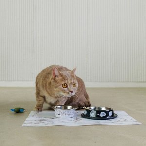 Пушистое счастье Миска металлическая для кошки Sweet home, 240 мл, 11х4 см