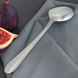 FoodVibes Ложка столовая из нержавеющей стали Доляна «Моджо», длина 18,9 см, толщина 1,8 мм