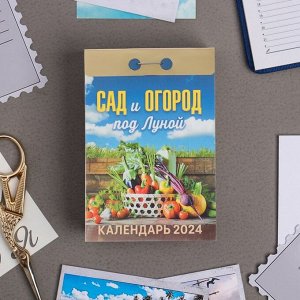 Календарь отрывной "Сад и огород под Луной" 2024 год, 7,7х11,4 см