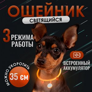 Светящийся ошейник для собак диодный, Размер S - 35 см.