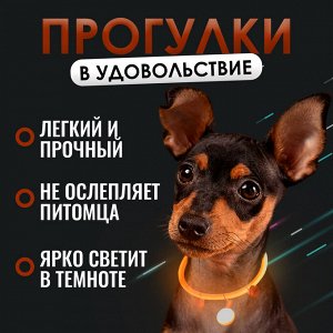 Светящийся ошейник для собак диодный, Размер S - 35 см.