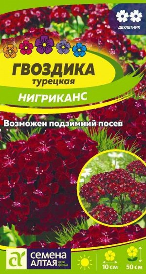 Цветы Гвоздика турецкая Нигриканс/Сем Алт/цп 0,1 гр. двулетник