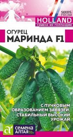 Огурец Маринда F1/Сем Алт/цп 5 шт. Seminis (Голландские Семена)