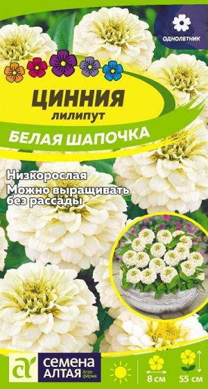 Цветы Цинния лилипут Белая Шапочка/Сем Алт/цп 0,3 гр.