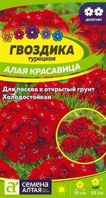 Цветы Гвоздика турецкая Алая красавица 0,2 гр. двулетник
