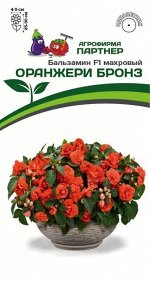 Бальзамин F1 махровый ОРАНЖЕРИ БРОНЗ
