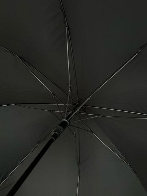 Большой зонт унисекс