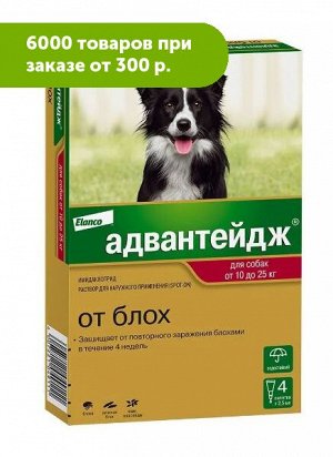 Адвантейдж капли для собак от 10 до 25кг от блох 2,5мл 1 пипетка