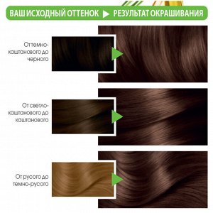 Гарньер , Garnier Стойкая питательная крем-краска для волос "Color Naturals" (Колор Нэчралс) c 3 маслами, оттенок 5 Светло-Каштановый, 100 мл