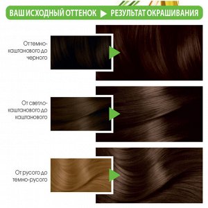 Гарньер , Garnier Стойкая питательная крем-краска для волос &quot;Color Naturals&quot; (Колор Нэчралс) c 3 маслами, оттенок 4 каштан, 100 мл EXPS