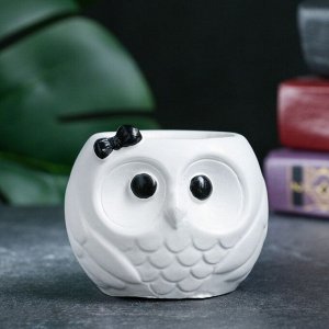 Фигурное кашпо для цветов «Сова», 6.5x7.5x6 см, гипс, белое