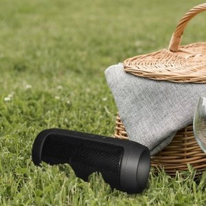 Портативная колонка Charge Mini 2