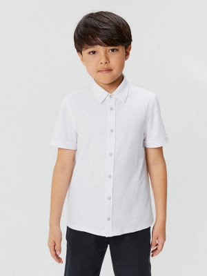 Рубашка поло для мальчика фирма Акула