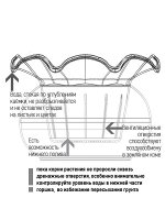 Аленький цветочек оливковый