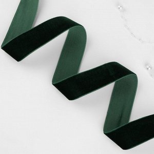 Лента бархатная, 25 мм