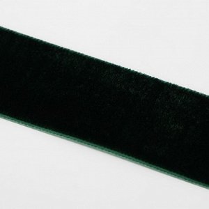 Лента бархатная, 25 мм