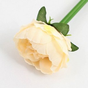Ручка подарочная для учителя, пластик, синяя паста, пишущий узел 1 мм «Спасибо за ваш труд!»