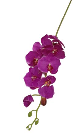 Орхидея одиночная 102см Фаленопсис Арт-13001-33-312