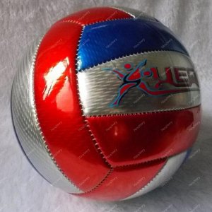 Мяч волейбольный.