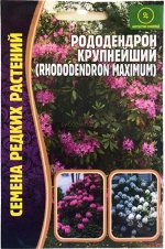 Рододендрон Крупнейший (Редкие)