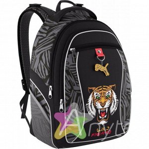 Рюкзак школьный Wild Tiger 42435