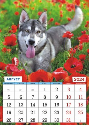 Перекидной настенный календарь на ригеле на 2024 год "Собачки. Самый милый друг"