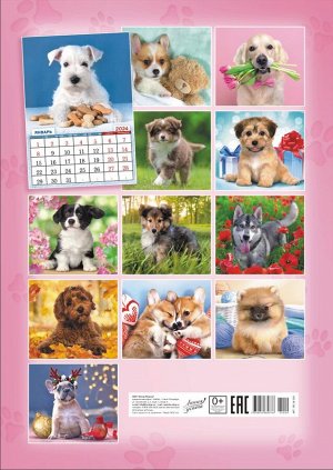 Перекидной настенный календарь на ригеле на 2024 год "Собачки. Самый милый друг"