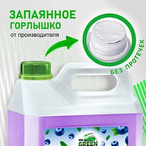 Жидкое мыло Mr.Green Увлажняющее Черника 5л ПНД