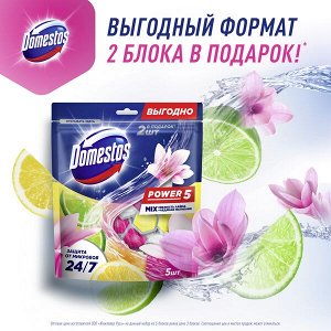 Domestos Power 5 блок для унитаза Свежесть лайма и Ледяная магнолия, защита от микробов и налета 2X50+3X50 гр