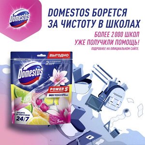 Domestos Power 5 блок для унитаза Свежесть лайма и Ледяная магнолия, защита от микробов и налета 2X50+3X50 гр