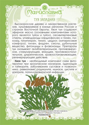 ТУЯ (ХВОЯ) Туя западная, на латыни Thuja occidentalis.

Целебные свойства туи западной европейцы стали активно изучать и применять, начиная с 19 века. Настоем из молодых побегов туи лечили легочной ту