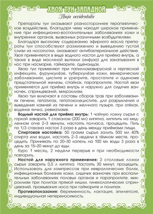 Туя (хвоя) Туя западная, на латыни Thuja occidentalis.

Целебные свойства туи западной европейцы стали активно изучать и применять, начиная с 19 века. Настоем из молодых побегов туи лечили легочной ту