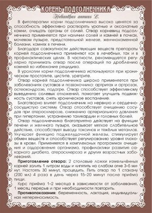Подсолнечник (корень)