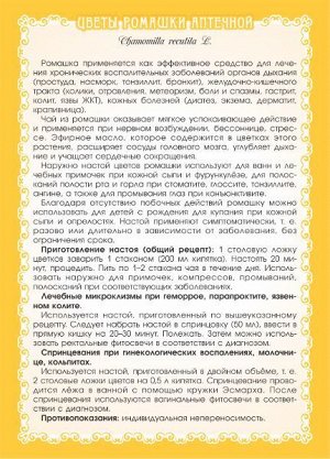 Ромашка аптечная (цветы)