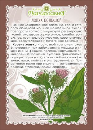 Лопух  (корень)
