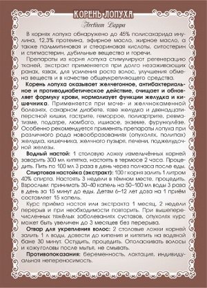 Лопух  (корень)