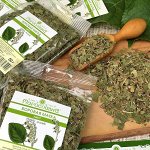 БОРОВАЯ МАТКА (ОРТИЛИЯ) (ЛИСТ)