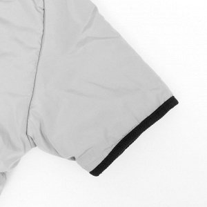 Куртка для больших собак, мембрана, XL (ДС 40, ОШ 41, ОГ 56 см), серо-чёрная