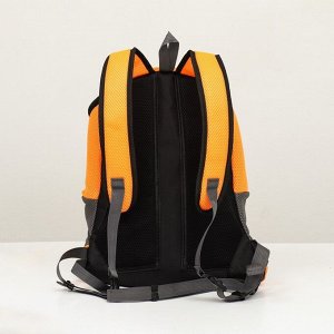 Рюкзак-переноска для животных, максимальный вес 16 кг, 36 х 21 х 45 см, оранжевый